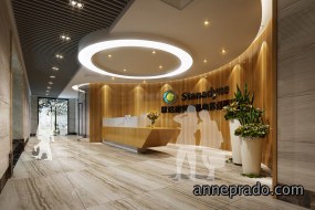 办公室前厅灯饰装饰效果图,前厅灯饰装饰效果图