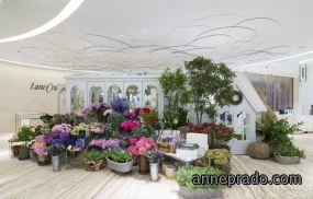 花店设计布局图,花店设计效果图